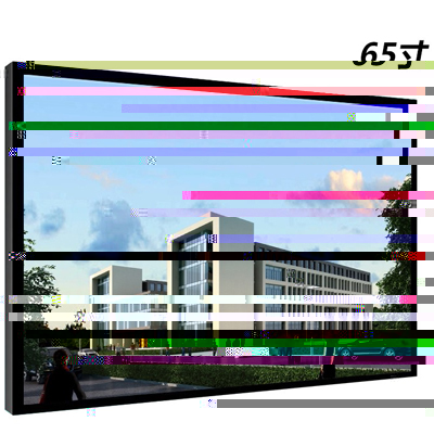 65寸液晶監視器